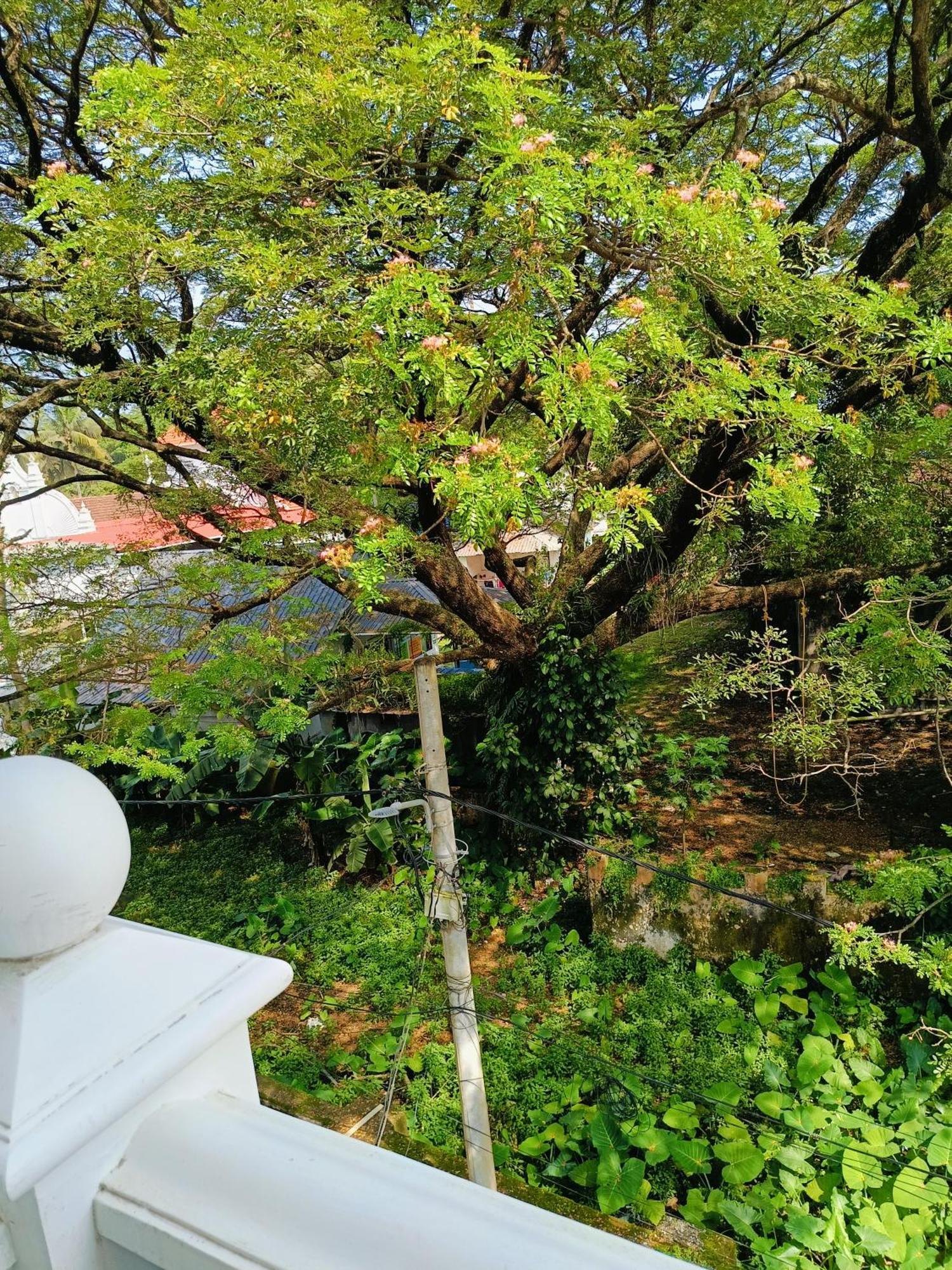 Elzas Fort Inn Kochi Rom bilde